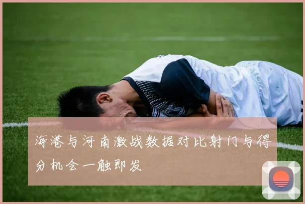海港与河南激战数据对比射门与得分机会一触即发
