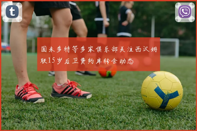 国米多特等多家俱乐部关注西汉姆联15岁后卫费约库转会动态